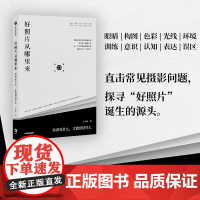 好照片从哪里来 王小列著你看见什么才能创造什么 摄影常见问题 构图色彩光线环境误区 摄影