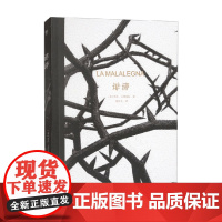 诽谤 罗莎·文特雷拉 著 小说