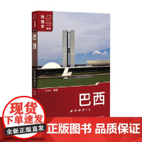 巴西 王伟军 编著 政治