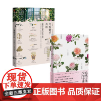 月季新手百科+玫瑰月季完整手册套装2册 元木春美等著 详细介绍玫瑰花型培育方式及其历史故事