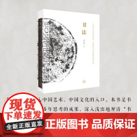 书法 一份关于书法的知识 观念和深入途径的备忘录 邱振中 著 书法