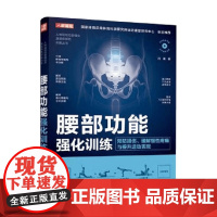 腰部功能强化训练 预防损伤 缓解慢性疼痛与提升运动表现 闫琪 著 运动
