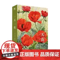 一天一花 米兰达·亚纳特卡 著 科普读物
