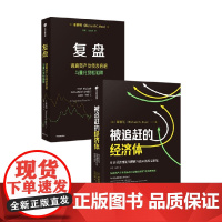 复盘+被追赶的经济体 辜朝明 著 经济