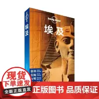 埃及 澳大利亚Lonely Plan 著 旅游