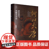 何以大唐 唐帝国与突厥斗争史 杨霄 著 历史