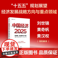 中国经济2025 稳预期 促消费与扩内需 刘世锦等 著 经济发展战略方向与重点领域 首发经济银发经济新知生产力低空经济