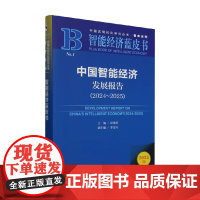 中国智能经济发展报告 2024~2025 彭绪庶 编著 经济