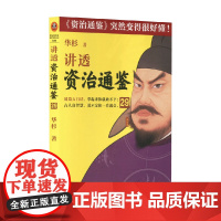 讲透资治通鉴29 华杉 著 历史