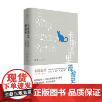 卡斯塔里漫游史 孙未 著 散文