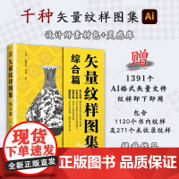 矢量纹样图集 综合篇 王卉等 著 绘画