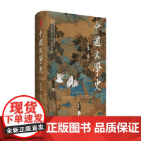 时刻人文 中国文学史 张隆溪 著 文化