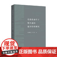 信息化条件下特大城市犯罪治理研究 金泽刚等 著 法律
