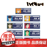 [正版日谷]排球少年 水彩亚克力铭牌盲盒第4弹(盲抽单包)