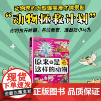原来你是这样动物 动物拯救计划 沼笠航 著 科普读物