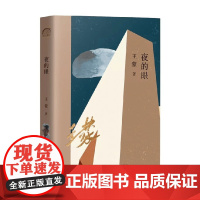 夜的眼 王蒙 著 文学
