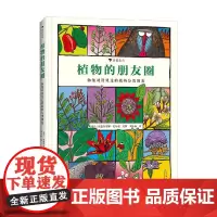 植物的朋友圈 4岁以上 埃德里安娜·巴尔曼著 动物的朋友圈 植物科普图鉴大自然