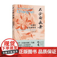 不必向长安 沈周的记忆抽帧术 金哲为 著 鉴赏收藏