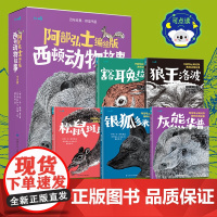 阿部弘士编绘版西顿动物故事 点读版 欧·汤·西顿 著 儿童文学
