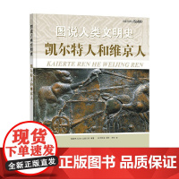 图说人类文明史系列 凯尔特人和维京人古希伯来伊斯兰文明罗马帝国罗马帝国古代日本中国拜占庭帝国玛雅 西班牙Sol90出版公