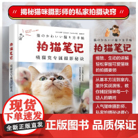 拍猫笔记 吸猫党专属摄影秘诀 石原樱等 著 摄影