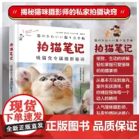 拍猫笔记 吸猫党专属摄影秘诀 石原樱等 著 摄影