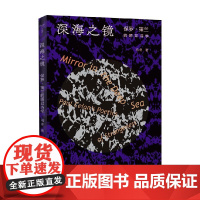 深海之镜:保罗·策兰的陌异诗学 冯冬 著 文学研究