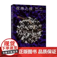深海之镜:保罗·策兰的陌异诗学 冯冬 著 文学研究
