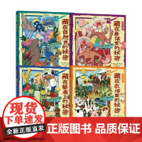 图解万物系列 克丽斯廷·布朗等 著 科普百科