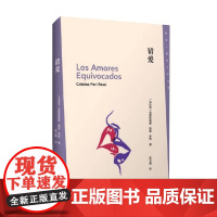 错爱 克里斯蒂娜.佩里.罗西 著 小说