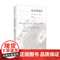 遥远的星辰 罗贝托·波拉尼奥 著 小说