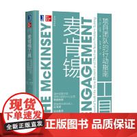 麦肯锡工具 项目团队的行动指南 保罗·弗里嘉 著 管理学