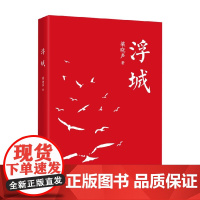 浮城 梁晓声 著 社会小说