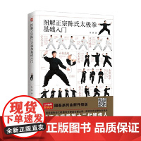 图解正宗陈氏太极拳基础入门 轻图鉴系列 陈炳 著 运动健身