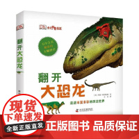 翻开大恐龙 3-10岁 英国DK出版社 著 科普百科