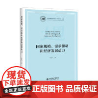 国家规模 需求驱动和经济发展动力 杜焱 著 经济