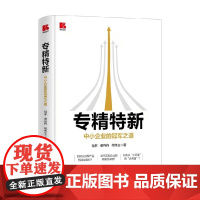 专精特新 中小企业的冠军之道 祖林等 著 管理