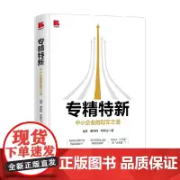 专精特新 中小企业的冠军之道 祖林等 著 管理