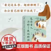 这些古人治好了我的精神内耗 白羽 著 历史