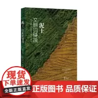 城市与生态文明丛书 泥土 文明的侵蚀 戴维·R. 蒙哥马利 著 科学与自然