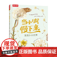 当小脚慢下来 发现小小世界 4-7岁 劳拉·布兰德 著 儿童文学