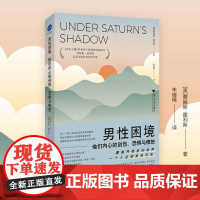 男性困境 他们内心的创伤 恐惧与愤怒 詹姆斯·霍利斯 著 中年之路作者关于性别创伤的探讨 没有人能准确定义到底什么是男