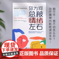 你为何总被情绪左右 6周学会理性情绪行为疗法 REBT 重塑思维模式 告别消极情绪 丹尼尔·弗莱尔 著 心理学