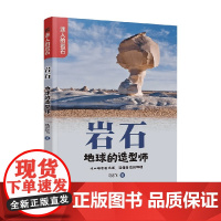 岩石 地球的造型师 马志飞 著 科普读物