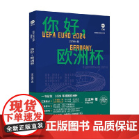 你好 欧洲杯 王正坤 著 体育故事