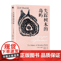 失踪树木的岛屿 艾丽芙·沙法克 著 小说