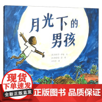月光下的男孩 安特万·伊迪 著 儿童文学