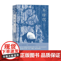 乌暗暝 黄锦树 著 文学