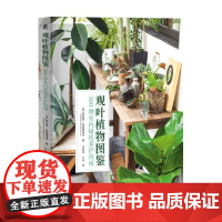 观叶植物图鉴 500种室内绿植养护指南 帕瓦蓬·苏班南塔农 著 家居