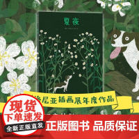 夏夜 3-6岁 文明诣 著 绘本